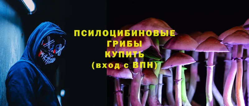 Псилоцибиновые грибы Psilocybine cubensis  Россошь 